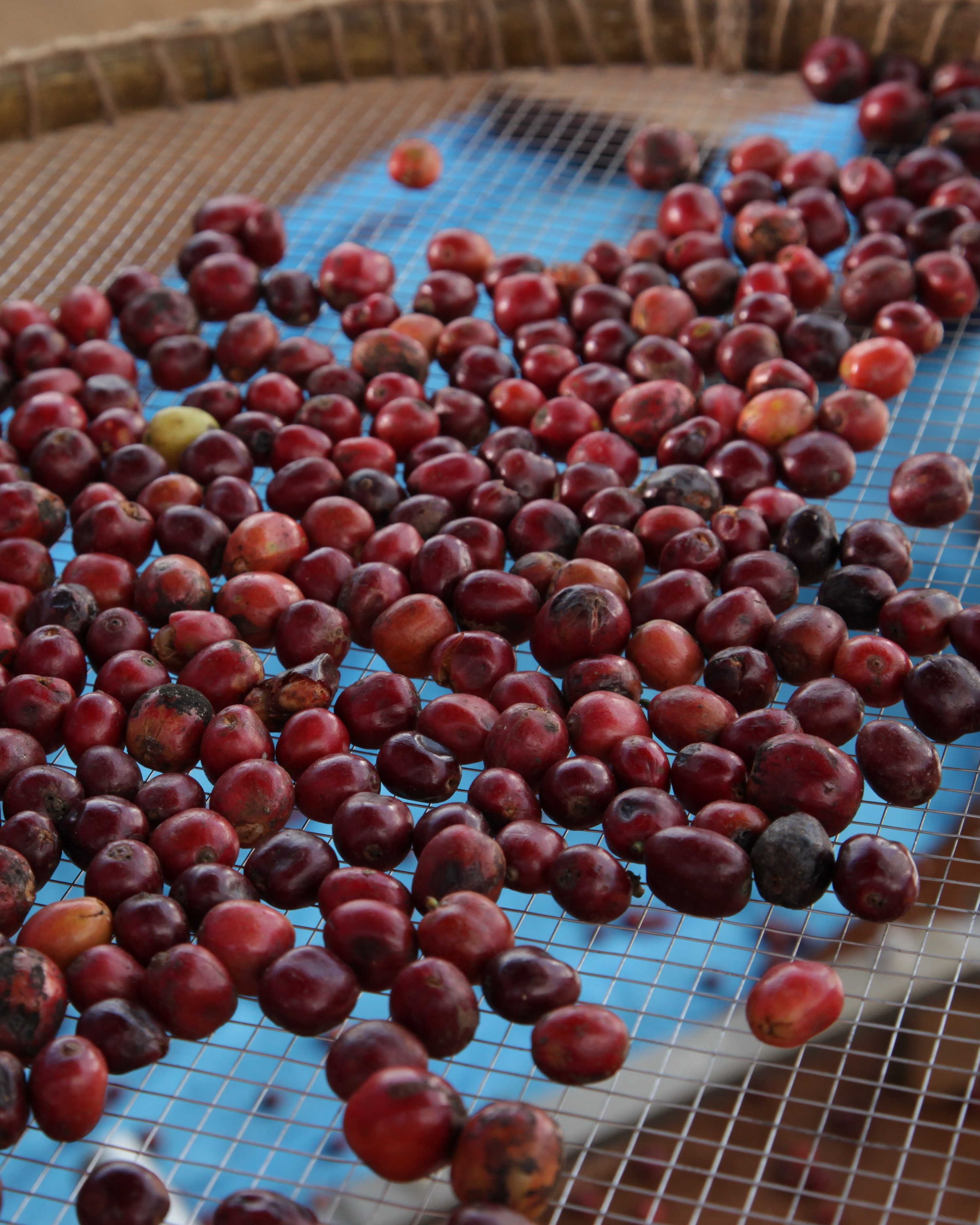 pahar cu cafea rece cu lapte